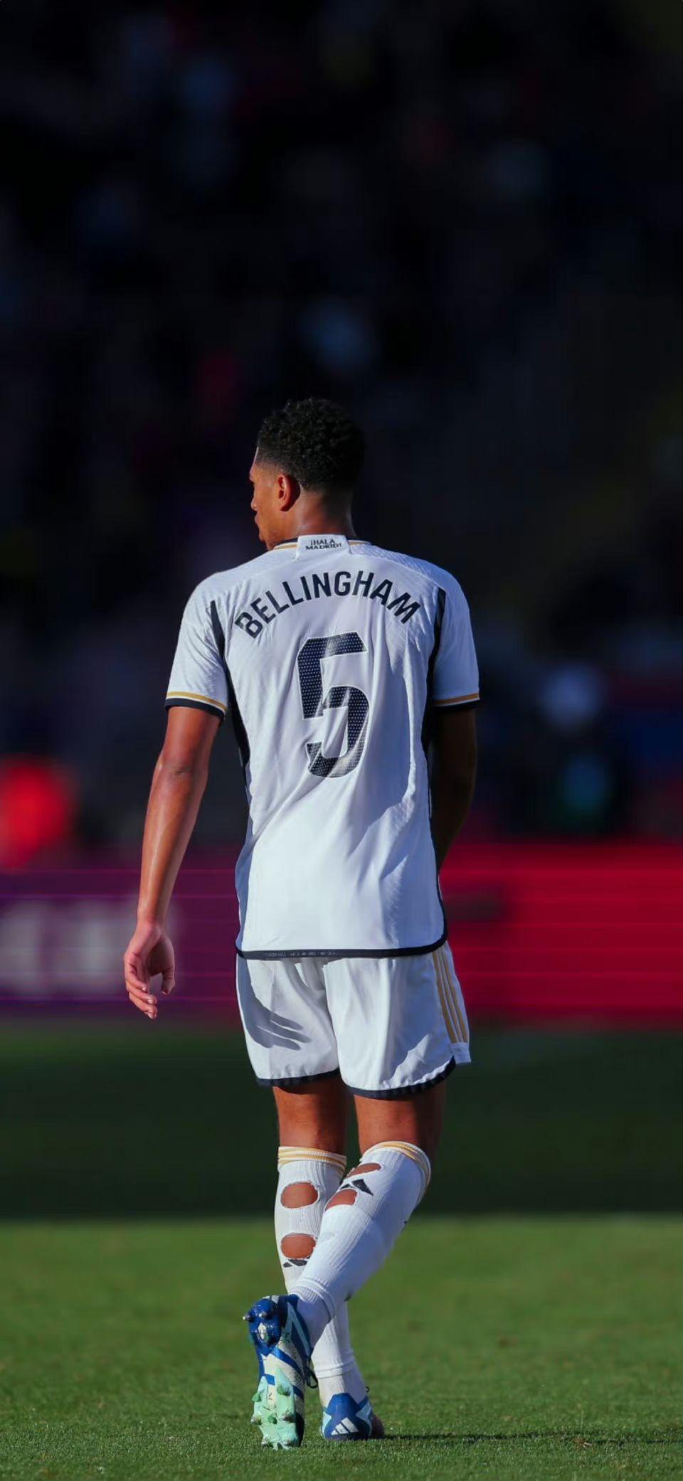 阿布扎比F1一练综述：诺里斯夺冠，维斯塔潘紧随其后，勒克莱尔居第三（阿布扎比F1一练回顾：诺里斯最快，维斯塔潘紧追其后，勒克莱尔第三）